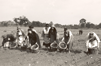 Pincott Fields, Bexleyheath, c. 1930