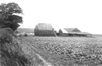 Bellingham Farm, Bellingham, c. 1920