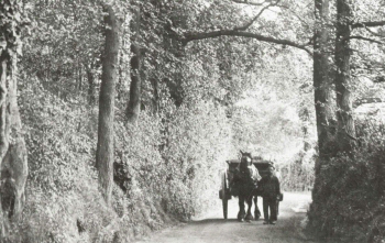 Rectory Lane, Foots Cray, c. 1910