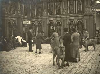 kennel-club-00833-350