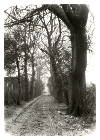 The Avenue, Broadway, Bexleyheath, c. 1930