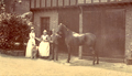 Forest Lodge Stables, Fishpond Road, Keston, Bromley, 1894