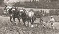 Gray's Farm, Cray Valley, 1934