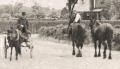 Alers Road, Bexleyheath, c. 1910