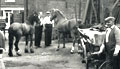 Stables, South Island Place, Brixton, 1964