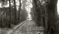 The Avenue, Broadway, Bexleyheath, c. 1930