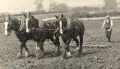 Farmland, Green Lane, Eltham, c. 1925