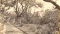 Ennerdale, Grosvenor Road, West Wickham, c. 1927